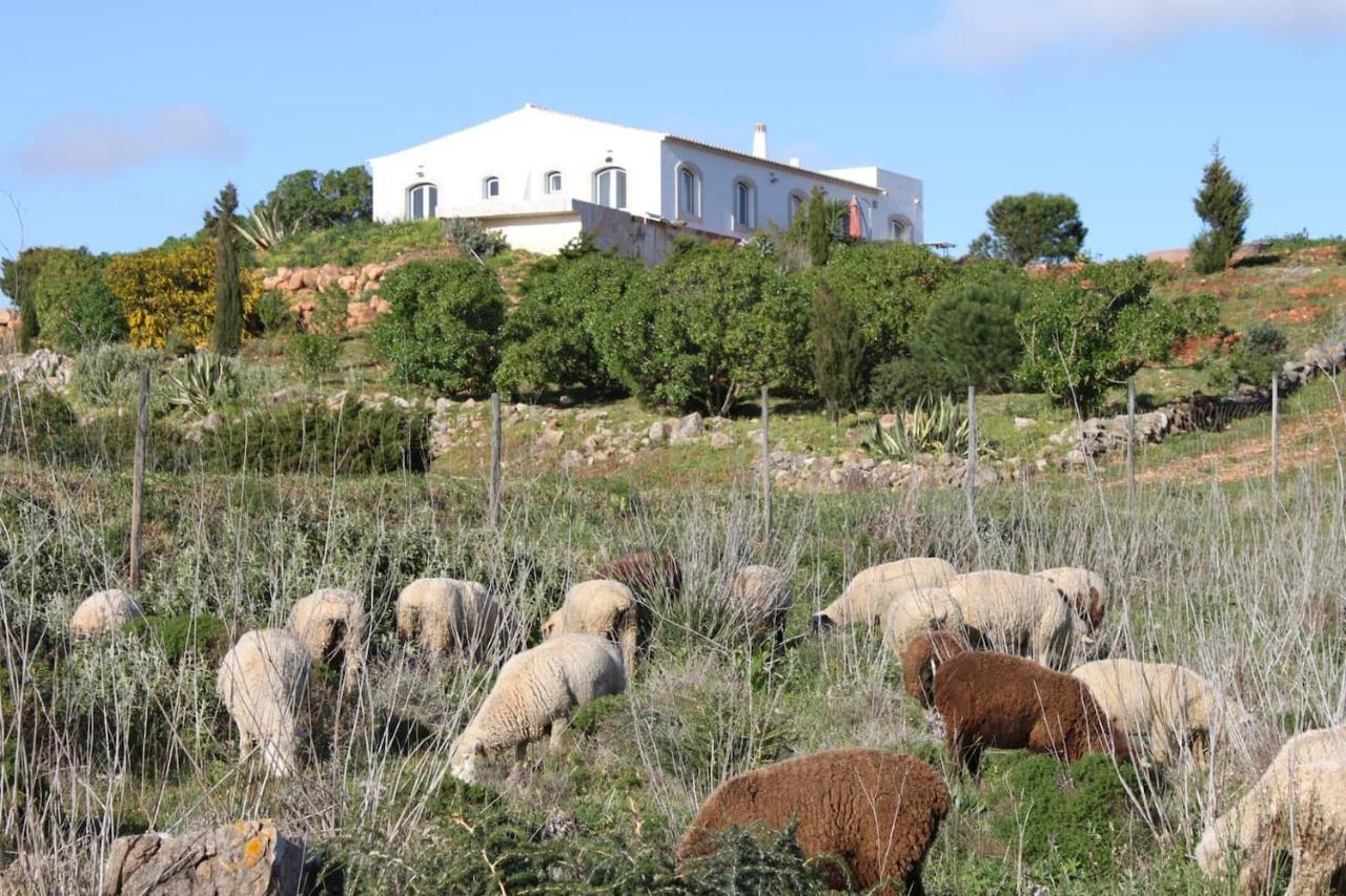 Casa Das Furnas - Eco Home วีลา ดู บิสโป ภายนอก รูปภาพ
